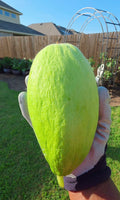 Carosello Fasano (Cianciuffo) Cucumber Melon Seeds